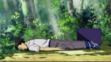Himawari 49.jpg